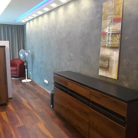 Lion 9 *